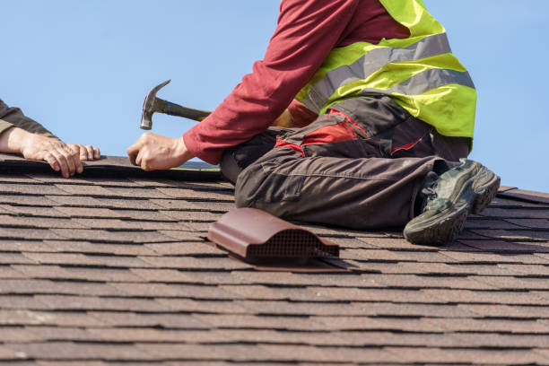 Best Roof Gutter Cleaning  in La Conner, WA